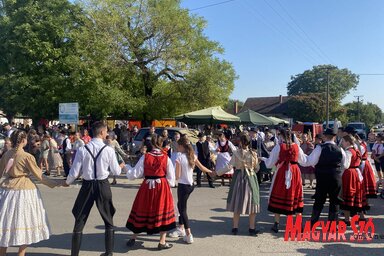 Szüreti napok Bácsfeketehegyen