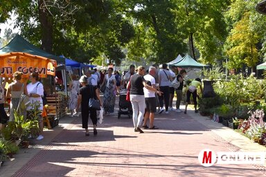 A Palicsi Szüreti Napok rendezvény kiváló lehetőséget nyújtott a kikapcsolódásra (Fotó: Dér Dianna)