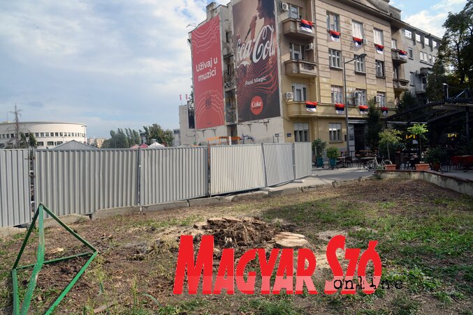 Dávid Csilla felvétele Dávid Csilla felvétele