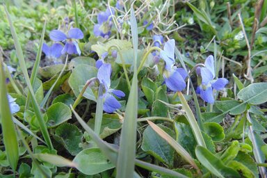 Fotó: Salánki Anikó