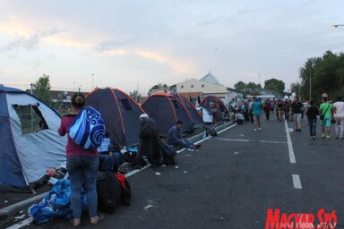 Diósi Árpád felvétele (Magyar Szó archívum)