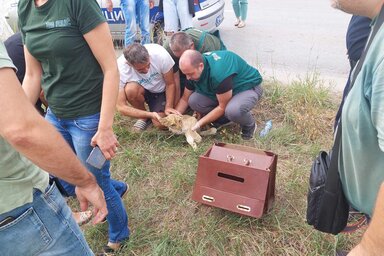 A Pannon RTV felvétele