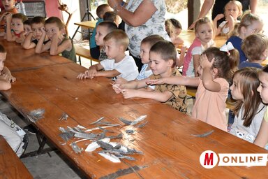 Az óvodások örömmel vették a kezükbe, tépkedték a tollat, ezek a mozdulatok a kézügyességük, illetve a ceruzahasználatuk fejlesztése szempontjából is fejlesztő hatásúak (Gulyás Réka felvétel