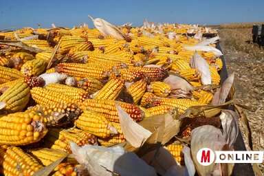 (Fotó: Ótos András)