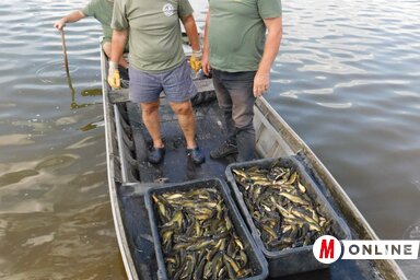A varsákból kikerült zsákmány fele
