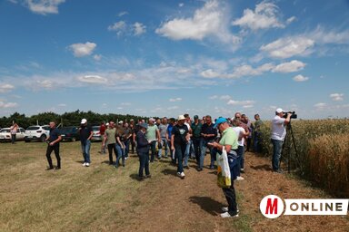 Rengeteg érdeklődőt vonzott a rendezvény (Fotó: Vidács Hajnalka)