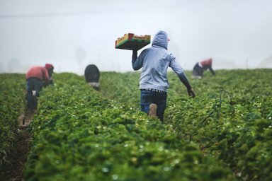 Illusztráció (Unsplash)