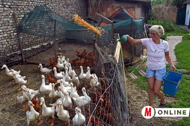 Gergely Árpád felvétele