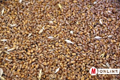 (Fotó: Ótos András)