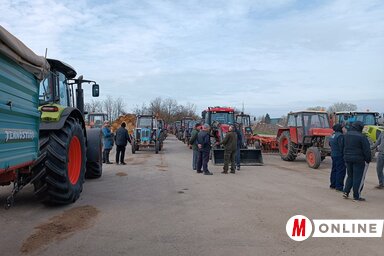 (L. Móger Tímea felvétele)