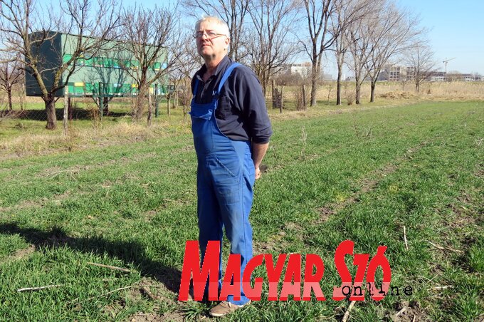 Torma Nándor méhész (Kecskés István felvétele) Torma Nándor méhész (Kecskés István felvétele)