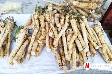 A húsvéti sonka nélkülözhetetlen tartozéka a torma, ami nemcsak fűszer, de gyógynövény is (Tóth Péter felvétele)