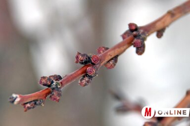 Gergely Árpád felvétele