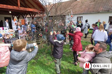 Csincsik Zsolt felvétele