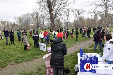 A kutyusok tíz versenyszámban mérkőztek: a zsűri számításba vette egyediségüket, a legidősebb kutyusok, és a rokkantsággal élő kutyusok kategóriájában is megnevezték a legszebbet (Fotó: Ótos