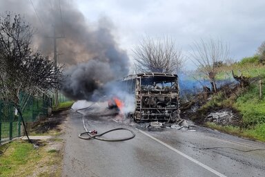 Danas/Žig info