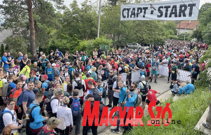 A Fruška gora-i maratonon minden évben több ezer futó és természetkedvelő indul, sokan közülük az erdőben töltik az éjszakát, ami különös élménynek számít, mindenekelőtt a fiatalok körében (Fotó: Dávid Csilla felvétele) A Fruška gora-i maratonon minden évben több ezer futó és természetkedvelő indul, sokan közülük az erdőben töltik az éjszakát, ami különös élménynek számít, mindenekelőtt a fiatalok körében (Fotó: Dávid Csilla felvétele)