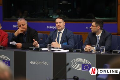 Fremond Árpád és Deli Andor a Minority Intergroup ülésén (Fotó: Kecskés Endre)