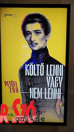 A látogató akár órákra is elmerülhet az írói univerzumban (Fotó: Sándor Zoltán) A látogató akár órákra is elmerülhet az írói univerzumban (Fotó: Sándor Zoltán)