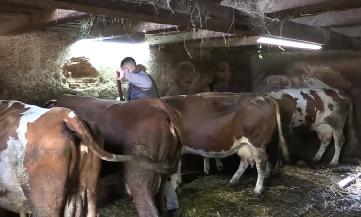 Illusztráció (Fotó: Agronews) Illusztráció (Fotó: Agronews)