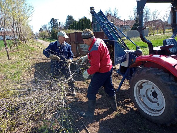 A korábban ültetett fák metszése és a gallyak eltakarítása