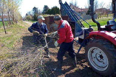 A korábban ültetett fák metszése és a gallyak eltakarítása