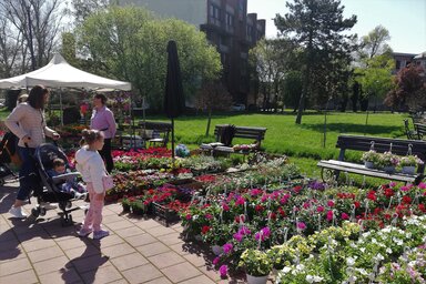 A tavaszi balkon-, udvar- és kertszépítéshez mindent megtalálhattak az érdeklődők