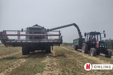 Balázs Andrea felvétele