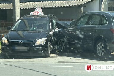 (Fotó: Magyar Szó Online)