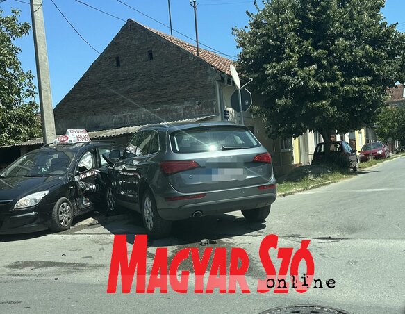 (Fotó: Magyar Szó Online) (Fotó: Magyar Szó Online)