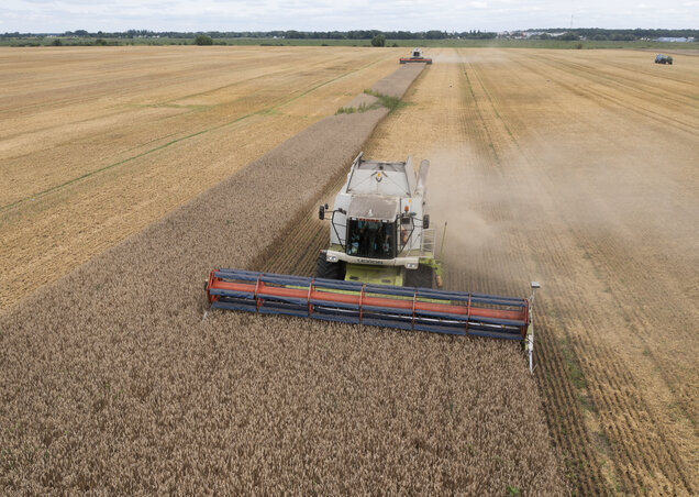 FILE - Harvesters collect wheat in the village of Zghurivka, Ukraine, on Aug. 9, 2022. The fate of a wartime deal designed to move food from Ukraine to parts of the world where millions are FILE - Harvesters collect wheat in the village of Zghurivka, Ukraine, on Aug. 9, 2022. The fate of a wartime deal designed to move food from Ukraine to parts of the world where millions are