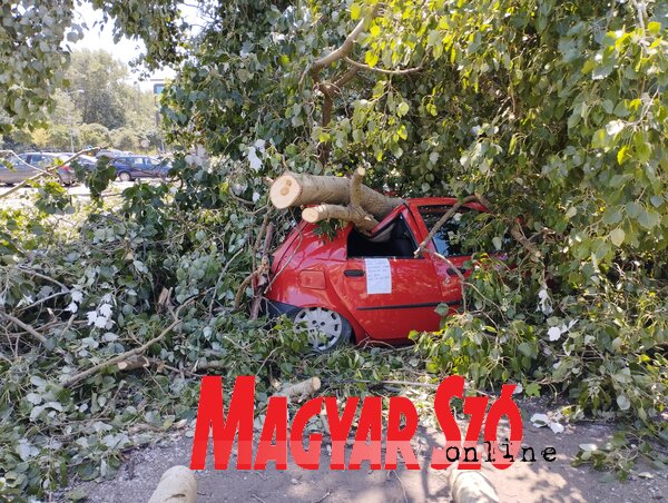 A Limánon több autót megrongáltak a lezuhanó faágak