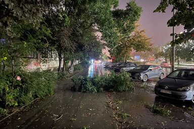 nsuzivo.rs