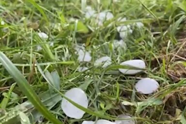 Képernyőkép (Szerbiai RTV)