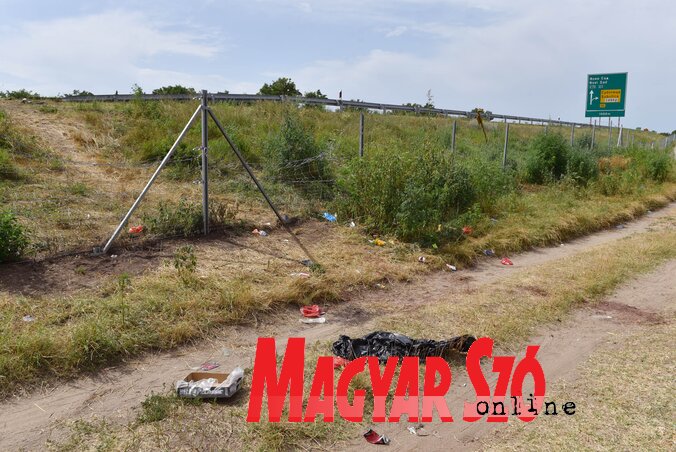(Fotó: Molnár Edvárd) (Fotó: Molnár Edvárd)