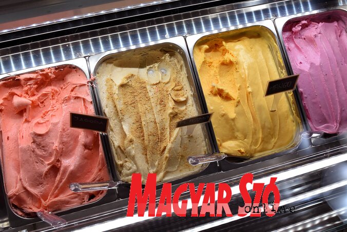 (Fotó: Molnár Edvárd) (Fotó: Molnár Edvárd)