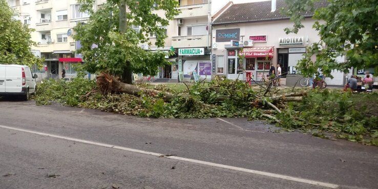 Fotó: Vojvodina uživo Fotó: Vojvodina uživo