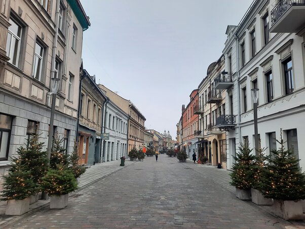 A Vilniaus utca A Vilniaus utca