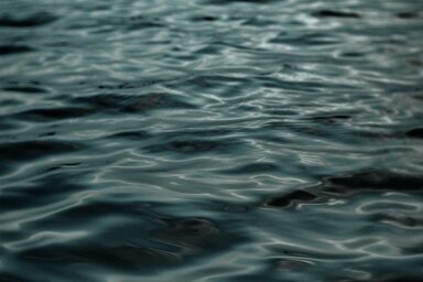 Illusztráció (Unsplash)