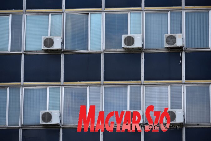 (Fotó: Molnár Edvárd) (Fotó: Molnár Edvárd)