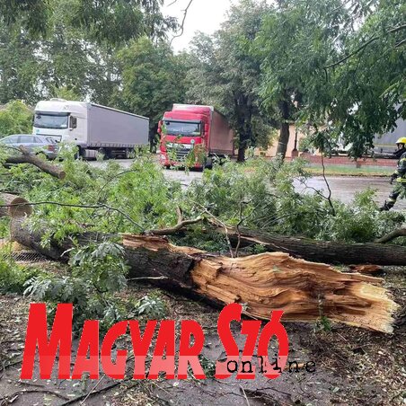 A vihar után ilyen és hasonló látvány fogadta a nagykikindaiakat a városközpontban (Fotó: Vidács Hajnalka) A vihar után ilyen és hasonló látvány fogadta a nagykikindaiakat a városközpontban (Fotó: Vidács Hajnalka)