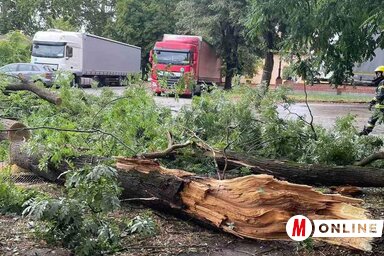 A vihar után ilyen és hasonló látvány fogadta a nagykikindaiakat a városközpontban (Fotó: Vidács Hajnalka)