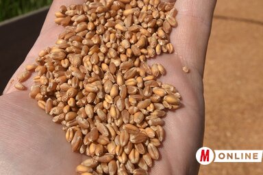 (Fotó: Ótos András)