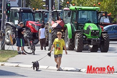 Szeptemberig adtak haladékot a kormánynak, utána, azt ígérik, radikalizálják a tiltakozást (Fotó: Ótos András)