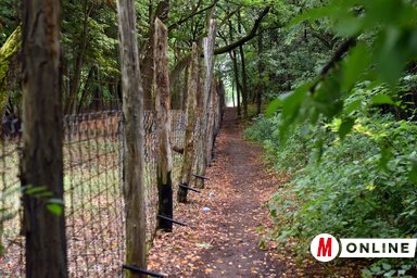 A helyiek szerint az erdőgazdaság mentén is elhaladnak migránsok (Molnár Edvárd felvétele)