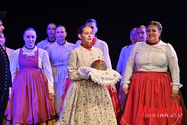 Az MNT Szent István napja alkalmából szervezett műsora Újvidéken (Ótos András felvétele)