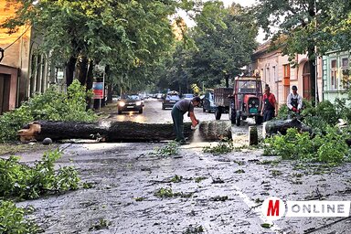 Erős Kincses Krisztina felvétele