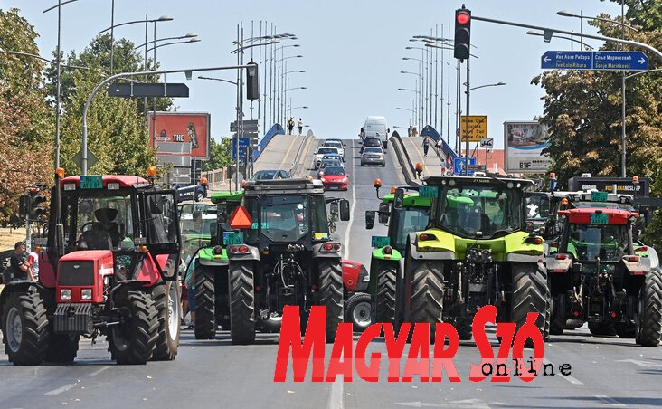 (Fotó: Ótos András)