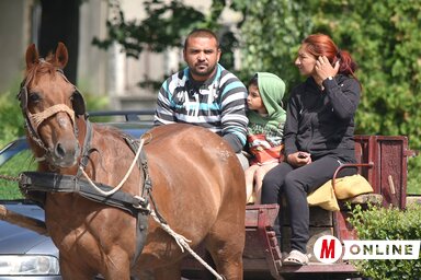 Újvidék szegénynegyedeiben fogászati akciót szervez az Újvidék Egészségház. Az ezekben
élő roma lakosság nagy része nem jár fogorvoshoz, egészségügyi dolgozóink ezen a rossz szokáson szeretnének változtatni a most megkezdett kampánnyal (Fotó: Ótos András