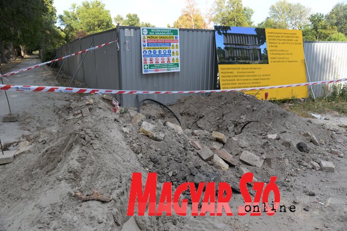 (Fotó: Dávid Csilla felvétele) (Fotó: Dávid Csilla felvétele)
